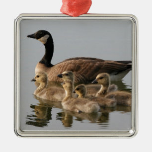 Kanadische Gänse-Vogelliebhaber Geschenke Ornament Aus Metall