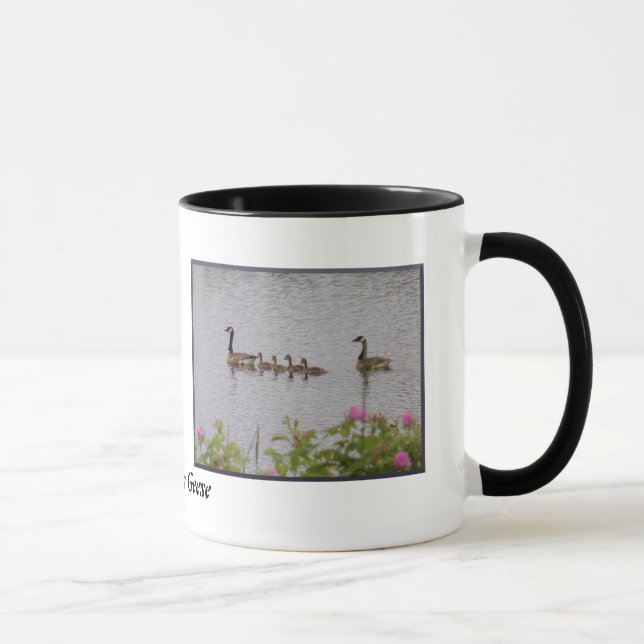 Kanadische Gänserfamilie am Tasse (Rechts)
