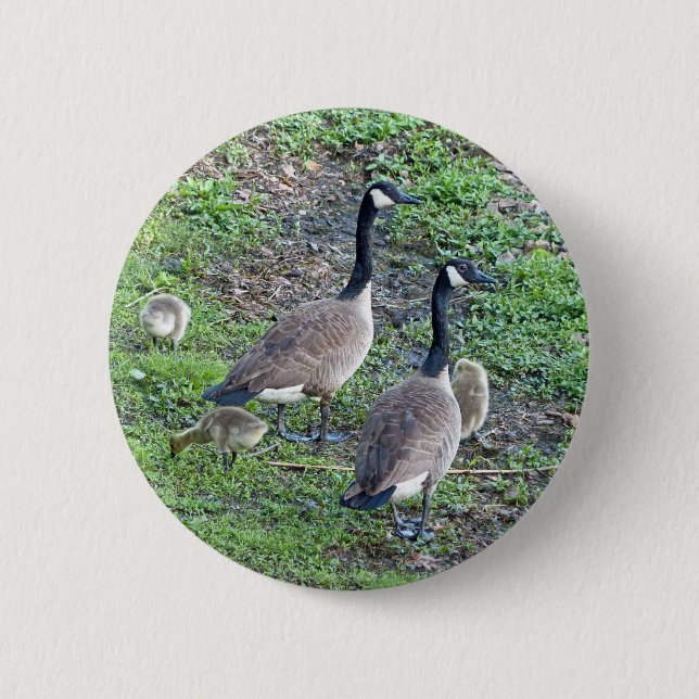 Kanadische Gänserfamilie Button (Vorderseite)