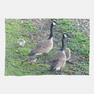 Kanadische Gänserfamilie Handtuch