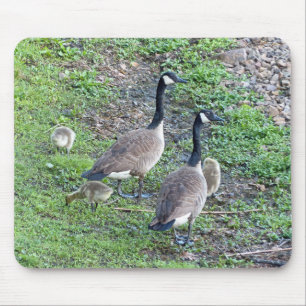Kanadische Gänserfamilie Mousepad