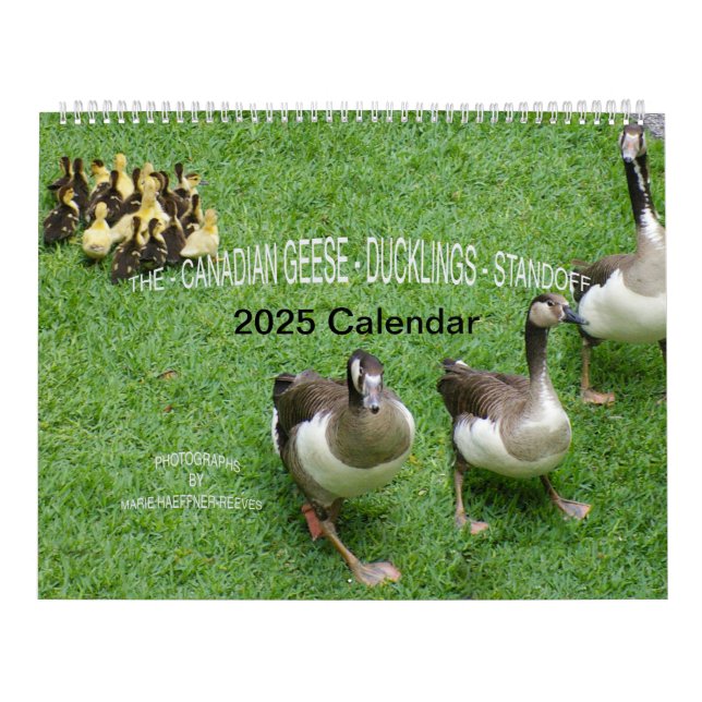*KANADISCHE GEESE* - *KLINGS* STANDOFF 2025 KALENDER (Titelbild)