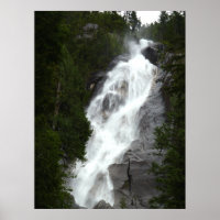 Kanadische Landschaft West Coast Forest Art Print