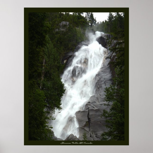 Kanadische Landschaft West Coast Forest Art Print Poster (Vorne)
