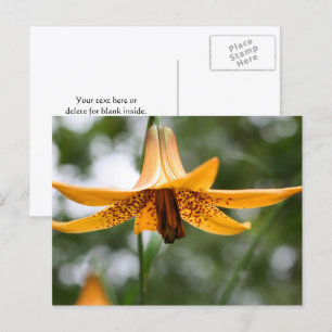 Kanadische Lilienblumenfotografie Personalisiert Postkarte
