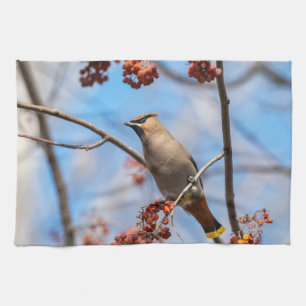Kanadische Tierwelt: Fotografie des Seidenschwanze Geschirrtuch