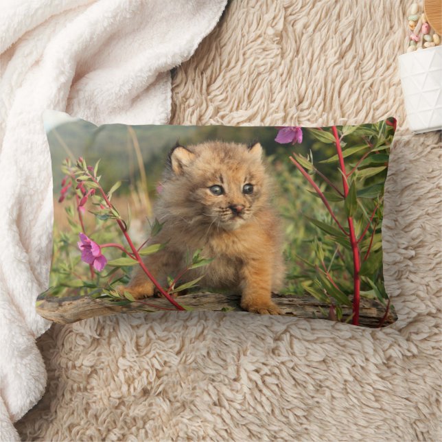 Kanadischer Lynx Kitten, Alaska Lendenkissen (Decke)