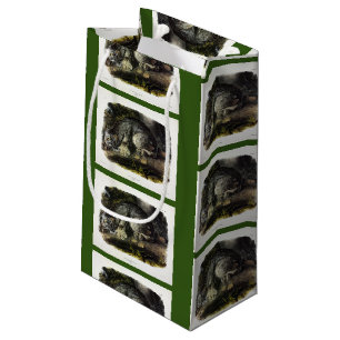 Kanadischer Lynx (Lynx Canadensis) (Kanadischer Ly Kleine Geschenktüte