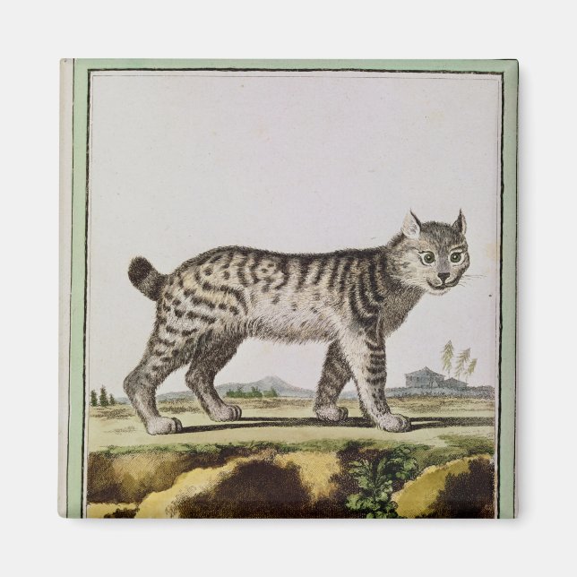 Kanadischer Lynx Magnet (Vorne)