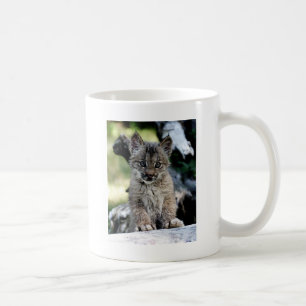 Kanadisches Luchs-Kätzchen Kaffeetasse