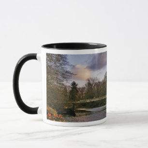 Kanaka Nebenfluss Tasse