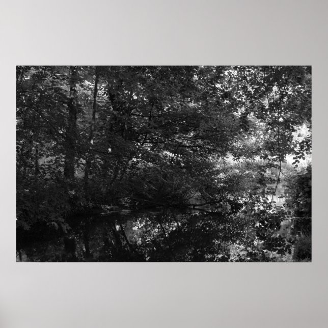 Kanal, Bute Park, Cardiff Poster (Vorne)