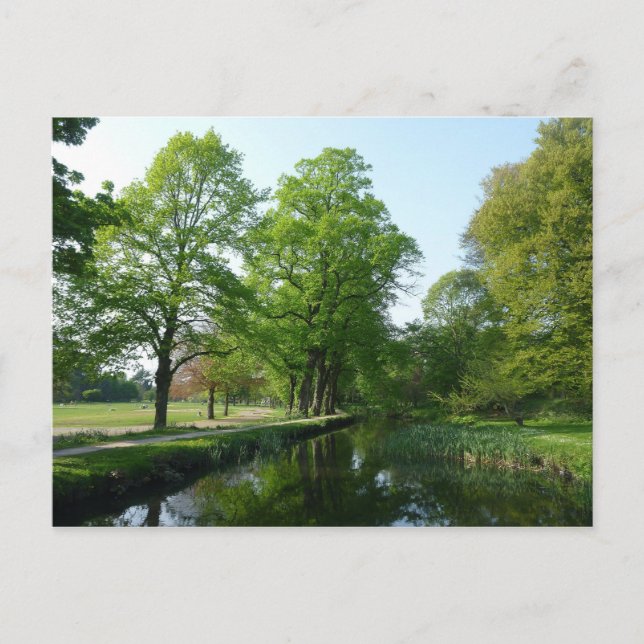 Kanal - Bute Park, Cardiff Postkarte (Vorderseite)