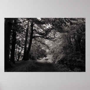 Kanal, Bute Park, Cardiff, Wales Poster