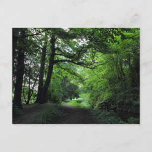 Kanal, Bute Park, Cardiff, Wales Postkarte