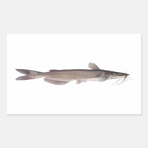 Kanal-Wels - Frischwasserfischen Rechteckiger Aufkleber