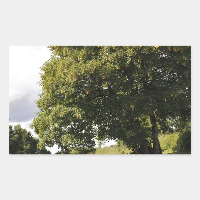 Kanalboote Rechteckiger Aufkleber (Vorderseite)