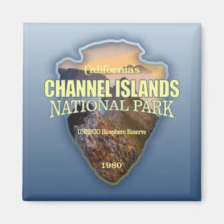 Kanalinseln NP (Pfeilspitzen) Magnet