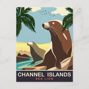 Kanalinseln, Seelöwe, Reisen Postkarte