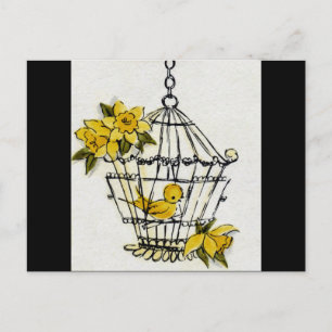 Kanarienvögel Postkarte