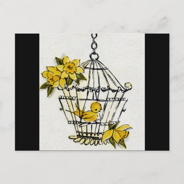 Kanarienvögel Postkarte (Vorderseite)