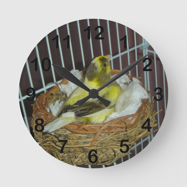 Kanarienvogel Runde Wanduhr (Vorderseite)