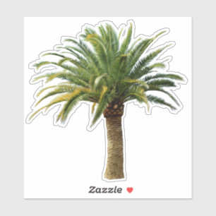 Kanarische Inseln Date Palm Trecker Aufkleber