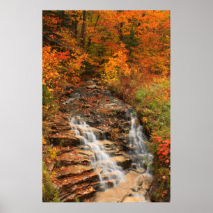 Kancamagus Highway Cascade im Herbst Poster