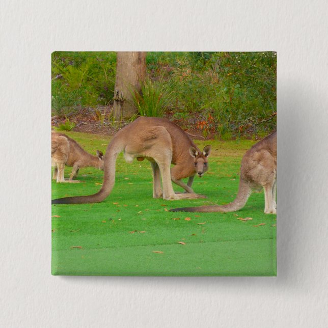 Kanga Button (Vorderseite)