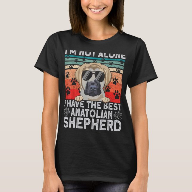 Kangal Hund Viehhalter Der beste Anatolian T-Shirt (Vorderseite)