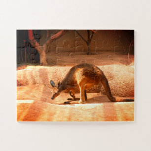 Kangaroo