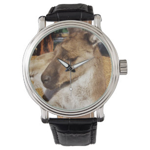 Kangaroo Australien Sleepy, Montre En Cuir Mens.
