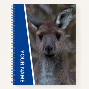 Kangaroo Baby Joey Portrait Australia, Blue Notizbuch