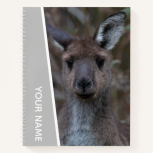 Kangaroo Baby Joey Portrait Australien, Silver Notizbuch
