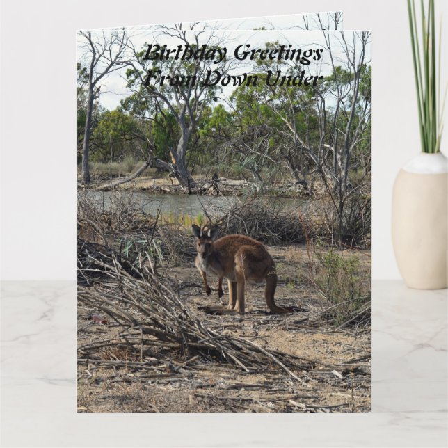 Kangaroo bei der Billabong, Jumbo Birthday Card, Karte (Vorderseite)