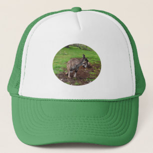 Kangaroo Fauler Tag, Truckerkappe