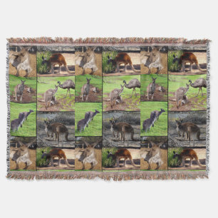 Kangaroo Foto Collage , Decke