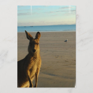 Kangaroo Foto Einladung