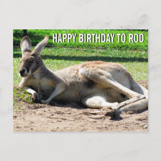 Kangaroo Happy Birthday to Roo Postcard Postkarte