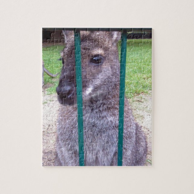 Kangaroo hinter Gittern (Vertikal)