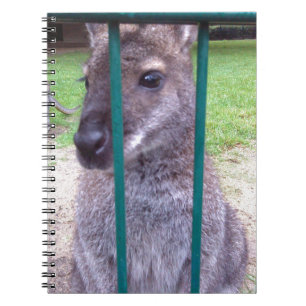 Kangaroo hinter Gittern Notizblock
