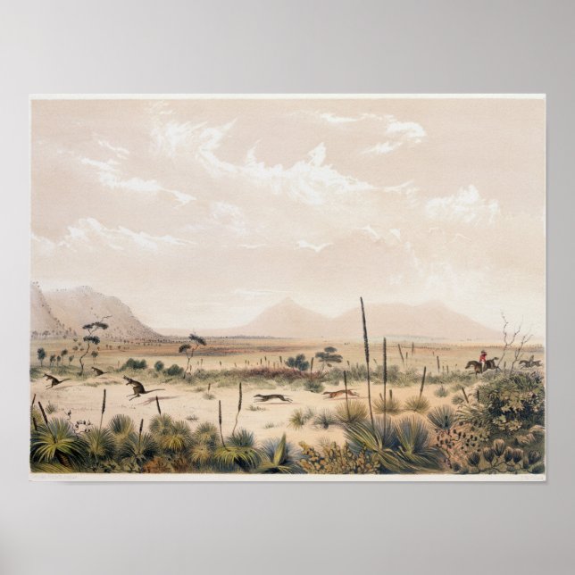 Kangaroo Hunt Poster (Vorne)