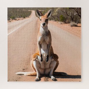 Kangaroo im Freien