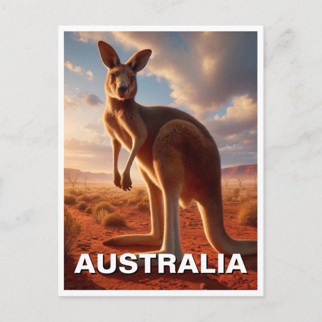 Kangaroo im Outback Australien Postkarte (Vorderseite)