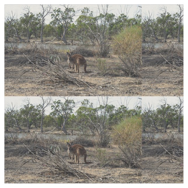 Kangaroo in Billabong Stoff (Nahaufnahme)