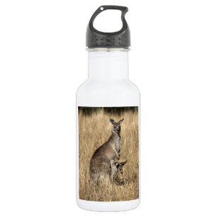 Kangaroo mit Baby Joey in Pouch Trinkflasche
