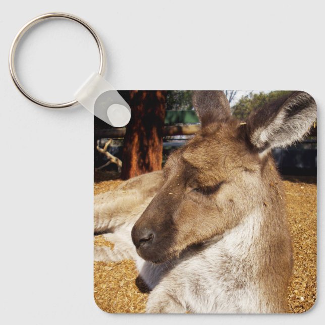 Kangaroo Nah hoch, Keyring Schlüsselanhänger (Vorderseite)