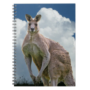 Kangaroo-Notebook Notizblock