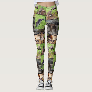 Kangaroo Photo Collage, Dames Leggings
