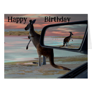 Kangaroo Seaside Breezes